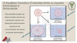 O Equilíbrio Osmótico É Mantido Entre os Líquidos 
Intracelular e 
Extracelular 
Altas pressões podem ser 
desenvolvidas através da 
membrana celular com 
alterações relativamente 
pequenas de 
concentração de solutos 
do líquido extracelular. 
 