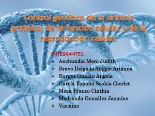 INTEGRANTES:
 Anchundia Mero Judith
 Bravo Delgado Anggie Arianna
 Burgos Gualán Angela
 García España Saskia Giorlet
 Meza Franco Cinthia
 Medranda González Jazmíne
 Vizcaino
 