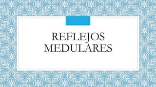 REFLEJOS
MEDULARES
 