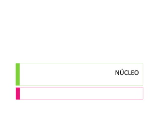 NÚCLEO
 