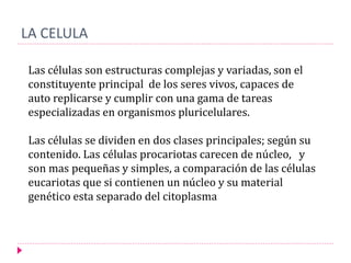 LA CELULA
Las células son estructuras complejas y variadas, son el
constituyente principal de los seres vivos, capaces de
auto replicarse y cumplir con una gama de tareas
especializadas en organismos pluricelulares.
Las células se dividen en dos clases principales; según su
contenido. Las células procariotas carecen de núcleo, y
son mas pequeñas y simples, a comparación de las células
eucariotas que si contienen un núcleo y su material
genético esta separado del citoplasma
 