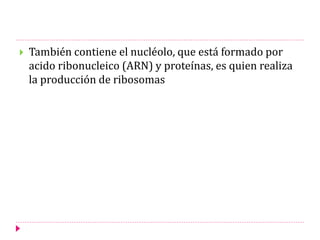  También contiene el nucléolo, que está formado por
acido ribonucleico (ARN) y proteínas, es quien realiza
la producción de ribosomas
 