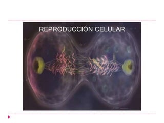 FISIOLOGIA CELULAR