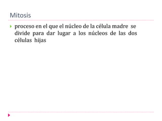 Mitosis
 proceso en el que el núcleo de la célula madre se
divide para dar lugar a los núcleos de las dos
células hijas
 