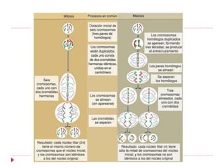 FISIOLOGIA CELULAR