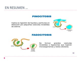 EN RESUMEN …
 