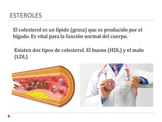 ESTEROLES
El colesterol es un lípido (grasa) que es producido por el
hígado. Es vital para la función normal del cuerpo.
Existen dos tipos de colesterol. El bueno (HDL) y el malo
(LDL)
 