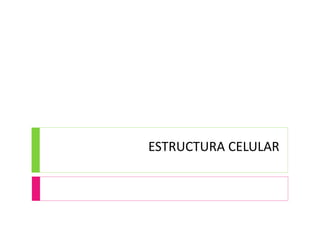 ESTRUCTURA CELULAR
 