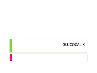 GLUCOCALIX
 