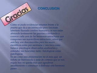 Como se pudo evidenciar estamos frente a la
puerta que da a un intrincado pero fascínate
laberinto llamado cerebro humano y se nos están
abriendo lentamente las puertas e invitando a
conocer cada una de las hermosas estructuras que
componen tan maravillosa estructura , sitios que
aun hoy son desconocidos para los neuro
cientificos están por asomarse y nos toca como
futuros psicólogos observarlos analizarlos y
entender sus funciones tanto fisiológicas como
patológicas
Es así como esta presentación no es más que un
folleto de bienvenida y pase de cortesía que se nos
regala hoy no queda mas que agradecer
amablemente y comenzar a disfrutar este hermoso
paseo……
 