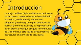 Fisiología de las abejas, reproducción de abejas | PPTX
