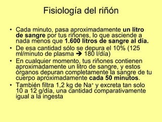 Fisiología del riñón Cada minuto, pasa aproximadamente  un litro de sangre  por tus riñones, lo que asciende a nada menos que  1.600 litros de sangre al día.   De esa cantidad sólo se depura el 10% (125 ml/minuto de plasma    180 l/día) En cualquier momento, tus riñones contienen aproximadamente un litro de sangre, y estos órganos depuran completamente la sangre de tu cuerpo aproximadamente  cada   50 minutos . También filtra 1,2 kg de Na +  y excreta tan solo 10 a 12 g/día, una cantidad comparativamente igual a la ingesta  