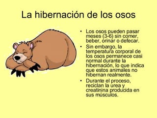 La hibernación de los osos Los osos pueden pasar meses (3-6) sin comer, beber, orinar o defecar. Sin embargo, la temperatura corporal de los osos permanece casi normal durante la hibernación, lo que indica que estos animales no hibernan realmente.  Durante el proceso, reciclan la urea y creatinina producida en sus músculos. 