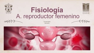 Fisiología
A. reproductor femenino
Covarrubias
Zermeño
 