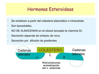 Hormonas Esteroideas

•
    Se sintetizan a partir del colesterol plasmático o intracelular.
•
    Son liposolubles.
•
    NO SE ALMACENAN en el citosol (excepto la vitamina D)
•
    Secreción depende de síntesis de novo.
•
    Secreción por difusión de gradientes


         Cadenas             COLESTERO                   Cadenas
         laterales               L                       laterales
                         -                        +
                               H idroxilaciones
                                aromatización
                               del n. esteroide
 