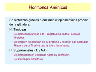 Hormonas Amínicas

•
    Se sintetizan gracias a enzimas citoplasmáticas propias
    de la glándula.
•
    H. Tiroideas:
    −
        Se almacenan unidas a la Tiroglobullina en los Folículos
        Tiroideos.
    −
        En sangren se separan de su proteína y se unen a la Globulina
        Fijadora de la Tiroxina que la libera lentamente.
•
    H. Suprarrenales (A y NA):
    −
        Se almacenan en vesículas hasta su secreción.
    −
        Se liberan por exocitosis.
 