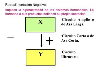Retroalimentación Negativa:
Impiden la hiperactividad de los sistemas hormonales. La
hormona o sus productos detienen su propia secreción.
                                   Circuito Amplio o
                                   -

                     X             de Asa Larga.


                                   Circuito Corto o de
                                   -


                                   Asa Corta.


                                   Circuito
                     Y
                                   -


                                   Ultracorto
 