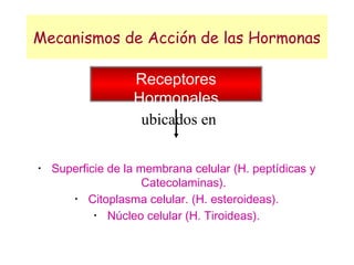 Mecanismos de Acción de las Hormonas

                   Receptores
                   Hormonales
                    ubicados en

•
    Superficie de la membrana celular (H. peptídicas y
                      Catecolaminas).
       •
           Citoplasma celular. (H. esteroideas).
            •
               Núcleo celular (H. Tiroideas).
 