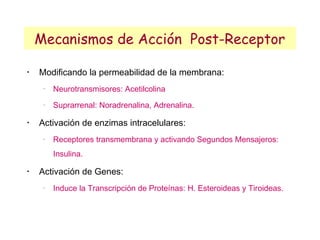 Mecanismos de Acción Post-Receptor

•
    Modificando la permeabilidad de la membrana:
     −
         Neurotransmisores: Acetilcolina
     −
         Suprarrenal: Noradrenalina, Adrenalina.
•
    Activación de enzimas intracelulares:
     −
         Receptores transmembrana y activando Segundos Mensajeros:
         Insulina.
•
    Activación de Genes:
     −
         Induce la Transcripción de Proteínas: H. Esteroideas y Tiroideas.
 