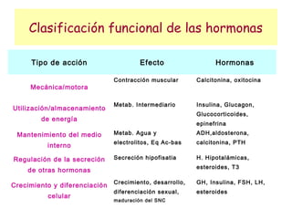 Clasificación funcional de las hormonas

     Tipo de acción                     Efecto                  Hormonas

                               Contracción muscular       Calcitonina, oxitocina
     Mecánica/motora

                               Metab. Intermediario       Insulina, Glucagon,
Utilización/almacenamiento
                                                          Glucocorticoides,
        de energía
                                                          epinefrina
 Mantenimiento del medio       Metab. Agua y              ADH,aldosterona,
                               electrolitos, Eq Ac-bas    calcitonina, PTH
          interno

Regulación de la secreción     Secreción hipofisatia      H. Hipotalámicas,
                                                          esteroides, T3
    de otras hormonas
                               Crecimiento, desarrollo,   GH, Insulina, FSH, LH,
Crecimiento y diferenciación
                               diferenciación sexual,     esteroides
          celular
                               maduración del SNC
 