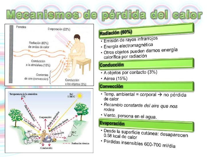 perdida de peso rapida causas Medicamento perdida de peso rapida causas problemas
