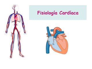 Fisiología Cardíaca 