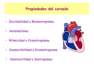 Propiedades del corazón Excitabilidad o Batmotropismo. Automatismo. Ritmicidad o Cronotropismo. Conductibilidad o Dromotropismo. Contractilidad o Inotropismo. 