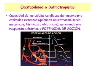 Excitabilidad o Batmotropismo Capacidad de las células cardíacas de responder a estímulos externos (químicos-neurotransmisores, mecánicos, térmicos o eléctricos), generando una respuesta eléctrica, o POTENCIAL DE ACCIÓN. 
