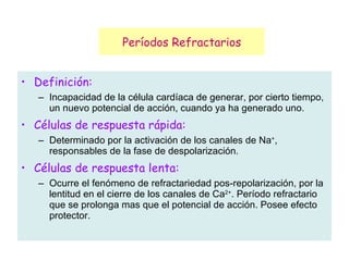 Períodos Refractarios Definición: Incapacidad de la célula cardíaca de generar, por cierto tiempo, un nuevo potencial de acción, cuando ya ha generado uno. Células de respuesta rápida: Determinado por la activación de los canales de Na + , responsables de la fase de despolarización. Células de respuesta lenta: Ocurre el fenómeno de refractariedad pos-repolarización, por la lentitud en el cierre de los canales de Ca 2+ . Período refractario que se prolonga mas que el potencial de acción. Posee efecto protector. 