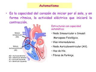 Automatismo  Es la capacidad del corazón de iniciar por sí solo, y en forma rítmica, la actividad eléctrica que iniciará la contracción. Estructuras con capacidad automática: Nodo Sinoauricular o Sinusal:  Marcapaso Fisiológico. Vías internodulares. Nodo Auriculoventricular (AV). Haz de His. Fibras de Purkinje. 