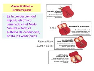 Conductibilidad o Dromotropismo Es la conducción del impulso eléctrico generado en el Nodo Sinusal a todo el sistema de conducción, hasta los ventrículos. 0,03 s Retardo Nodal 0,09 s + 0,04 s  