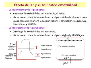 Efecto del K +  y el Ca 2+  sobre excitabilidad La Hiperkalemia y la Hipocalcemia: Aumentan la excitabilidad del miocardio, al inicio. Hacen que el potencial de membrana y el potencial umbral se acerquen. Luego hace que se altere la repolarización: ↓ conducción, bloqueos AV, paro sinusal y asistolia. La Hipokalemia y la Hipercalcemia: Disminuye la excitabilidad del miocardio. Hacen que el potencial de membrana y el potencial umbral se alejen. - 90 mV 0 mV Potencial de  Reposo Potencial Umbral hipercalcemia hipocalcemia hiperkalemia hipokalemia ↑  K + K + Pm: menos negativo ↓ gradiente ++++++++++++++++++ ↓ Ca 2   + Ca 2   + ------------------------------- PU: mas negativo 