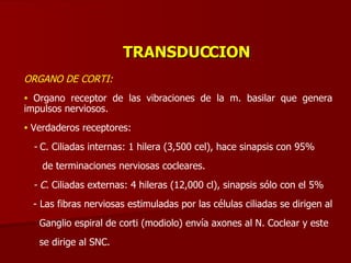 TRANSDUCCION ORGANO DE CORTI: Organo receptor de las vibraciones de la m. basilar que genera impulsos nerviosos. Verdaderos receptores: -  C. Ciliadas internas: 1 hilera (3,500 cel), hace sinapsis con 95% de terminaciones nerviosas cocleares. - C.  Ciliadas externas: 4 hileras (12,000 cl), sinapsis sólo con el 5% - Las fibras nerviosas estimuladas por las células ciliadas se dirigen al Ganglio espiral de corti (modiolo) envía axones al N. Coclear y este se dirige al SNC. 
