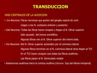TRANSDUCCION VIAS CENTRALES DE LA AUDICION: 1ra Neurona:  Fibras nerviosas que parten del ganglio espiral de corti. Llegan a los N. cocleares anterior y posterior 2da Neurona: Todas las fibras hacen sinapsis y llegan al N. Olivar superior lado opuesto  del tronco encefálico. Algunas fibras van al N. Olivar superior del mismo lado. 3ra Neurona: Del N. Olivar superior ascienden por el Lemnisco lateral Algunas fibras terminan en el N. Lemnisco lateral otras llegan al TCI En el TCI hacen sinapsis casi todas las fibras auditivas. Las fibras pasan al N. Geniculado medial Radiaciones auditivas hacia la corteza auditiva (circunv. Sup del lóbulo temporal) 