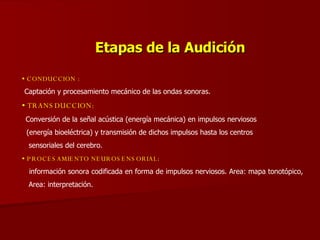 Etapas de la Audición CONDUCCION : Captación y procesamiento mecánico de las ondas sonoras. TRANSDUCCION: Conversión de la señal acústica (energía mecánica) en impulsos nerviosos (energía bioeléctrica) y transmisión de dichos impulsos hasta los centros sensoriales del cerebro. PROCESAMIENTO NEUROSENSORIAL : información sonora codificada en forma de impulsos nerviosos. Area: mapa tonotópico,  Area: interpretación.  