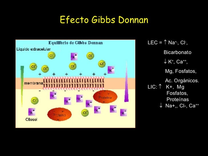 Resultado de imagen para efecto donnan