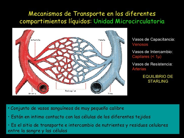 Fisiologia de los Líquidos Corporales