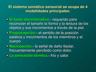 El sistema somático sensorial se ocupa de 4 modalidades principales: ,[object Object],[object Object],[object Object],[object Object]