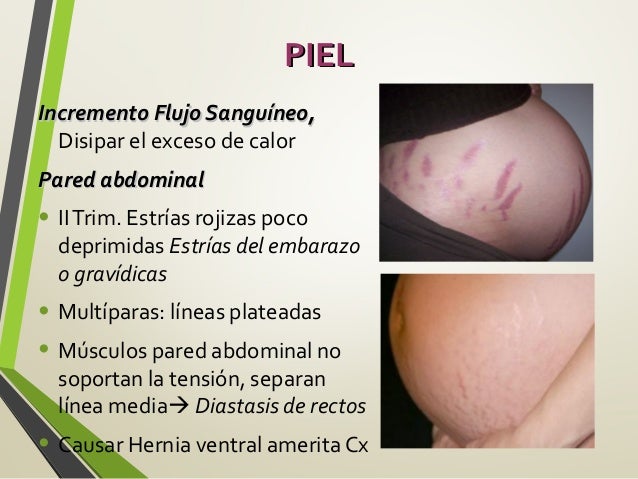 Fisiología Del Embarazo Obstetricia
