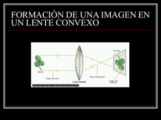 FORMACIÓN DE UNA IMAGEN EN UN LENTE CONVEXO 