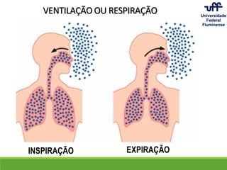 VENTILAÇÃO OU RESPIRAÇÃO
INSPIRAÇÃO EXPIRAÇÃO
 