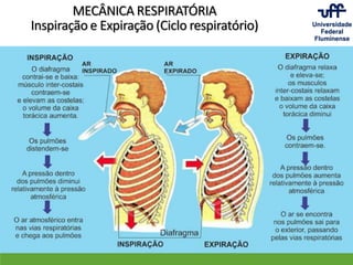 MECÂNICA RESPIRATÓRIA
Inspiração e Expiração (Ciclo respiratório)
 