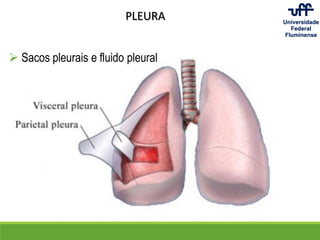  Sacos pleurais e fluido pleural
PLEURA
 