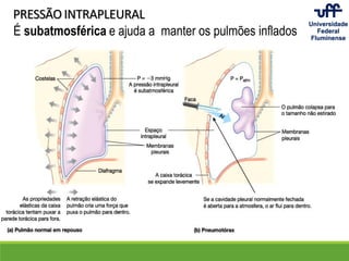PRESSÃO INTRAPLEURAL
É subatmosférica e ajuda a manter os pulmões inflados
 