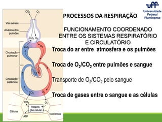 PROCESSOS DA RESPIRAÇÃO
Troca do ar entre atmosfera e os pulmões
Troca de O2/CO2 entre pulmões e sangue
Transporte de O2/CO2 pelo sangue
Troca de gases entre o sangue e as células
FUNCIONAMENTO COORDENADO
ENTRE OS SISTEMAS RESPIRATÓRIO
E CIRCULATÓRIO
 