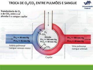 TROCA DE O2/CO2 ENTRE PULMÕES E SANGUE
 