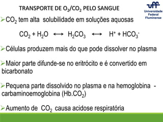 CO2 tem alta solubilidade em soluções aquosas
CO2 + H2O H2CO3 H+ + HCO3
-
Células produzem mais do que pode dissolver no plasma
Maior parte difunde-se no eritrócito e é convertido em
bicarbonato
Pequena parte dissolvido no plasma e na hemoglobina -
carbaminoemoglobina (Hb.CO2)
Aumento de CO2 causa acidose respiratória
TRANSPORTE DE O2/CO2 PELO SANGUE
 