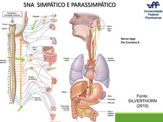 Nervo Vago
Par Craniano X
SNA SIMPÁTICO E PARASSIMPÁTICO
Fonte:
SILVERTHORN
(2010)
 