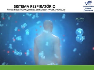SISTEMA RESPIRATÓRIO
Fonte: https://www.youtube.com/watch?v=vlY3AOnqLtk
 