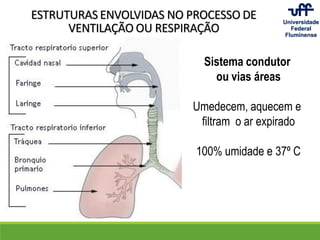 ESTRUTURAS ENVOLVIDAS NO PROCESSO DE
VENTILAÇÃO OU RESPIRAÇÃO
Sistema condutor
ou vias áreas
Umedecem, aquecem e
filtram o ar expirado
100% umidade e 37º C
 